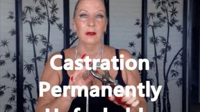 Castration Permanently Unfuckable HD (WMV)