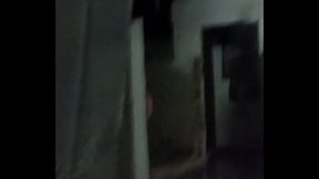 Veci y el gato