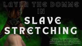 Slave Stretching