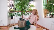 Horny Tree Hugger