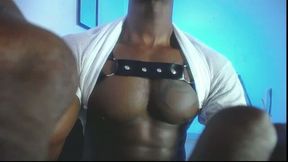 Byron Stallion Private Show