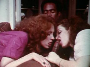 Suzie's Super Knockers