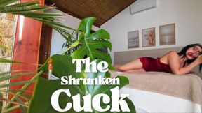 The Shrunken Cuck
