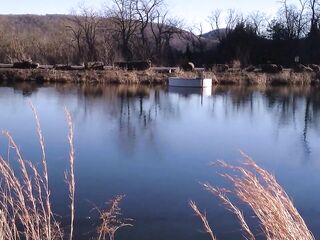 Don Whoe breaks Sexy Bitch Cutie Love