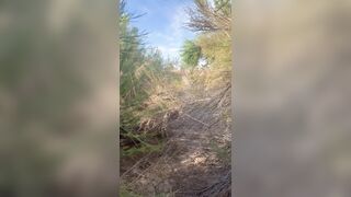 Caught attempting a fresh trail