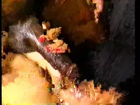 Big beautiful women doublefucked by huge black Mandingo cocks