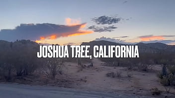 SUCK MY BALLS : JOSHUA TREE, CA // PART 3 // THE MOVIE