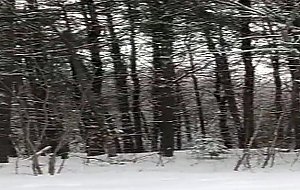 Redhead tranny jerking it in the snow