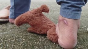 Goddess Rose Crushing a Dog Barefoot
