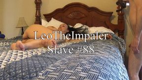 (HD) Slave #88 - Bedroom BJ, Lots of Ass Eating, Pussy Fucking and No Warning Anal, Angle 2 of 3
