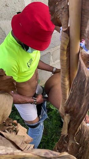 Hide and Seek Bush Fuck