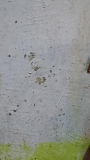 Mere bade bhai ke bibi ne muze muth marte huaa dekh liya, me bahot Josh me tha mene bhabhi ji ke samne muth mar- daver&hellip;   Clip 1