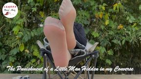 A Giantess's Punishment to Little Man Who's Hiding in Her Converse