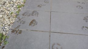 You must have clean shoes to enter this place