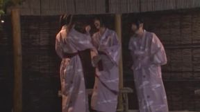 Orgie Fleur De Cerisier