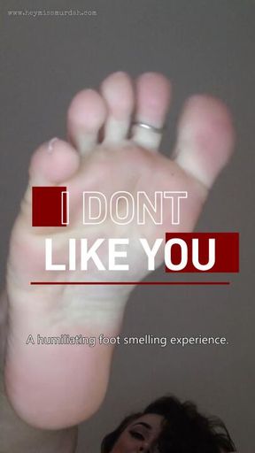 I Don't Like You HD