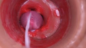 Camera in Vagina, Cervix POV, &quot;Creampie&quot;, &quot;Fucking breed me&quot;&quot;4k
