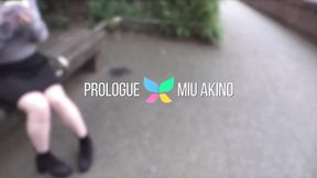 College babe Miu Akino takes fucked in park by older man for cash