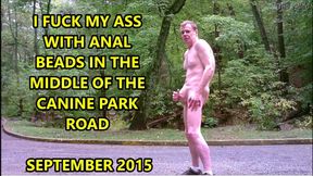 Fuck My Ass With Anal Beads In Park Road Near Canine Park 09-15