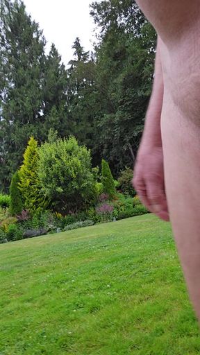Quick Spin Around The Backyard
