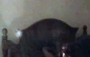 Josie sucks black dick