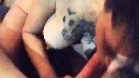 Sugarmommy with big boob shows off tatas to lucky pet