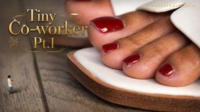 Giantess Soo Tiny - Co-worker [Part 1]