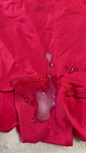 Cum on Wife's Panties 4