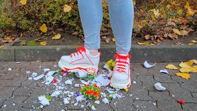 Flower Crush