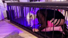 POV Alessa gives Sissy a task with a blowjob