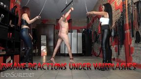 LADY SCARLET & MISTRESS ISIDE - INSANE REACTIONS UNDER WHIPLASHES (very extreme whipping) hd