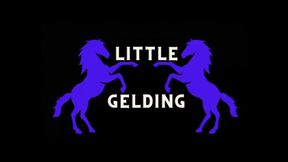 Lilith Taurean Takes Your Manhood - My Little Gelding - Audio Only