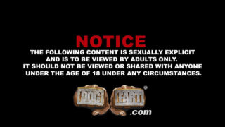 인종간 구강성교, 사정, 흑인, 3인조, 자지 – 곰 문신이 있는 Adrian Suarez와 Micah Martinez가 항문 성교를 했습니다, BBC