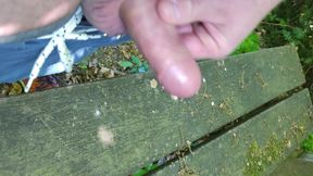 Squirted on a park bench