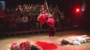 Kinbaku Flower Chapter