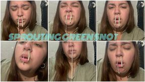Green mucus sprouting in the bathroom
