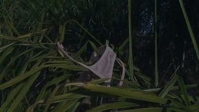 Eve Nicholson Takes Cock Up Her Tight Pussy