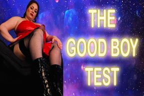 THE GOOD BOY TEST