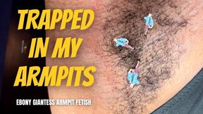 Trapped In My Armpits - Ebony Giantess Armpit Fetish with Temptress Mango