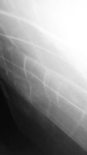 Ghana Girl Loves Sex Everyday