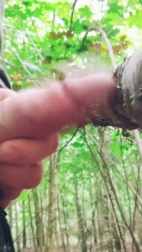 Contact with nature ended with a wank between the trees and a juicy orgasm.   Clip 2