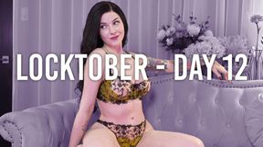 Locktober Advent Calendar Challenge – Day 12