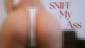Sniff My Ass