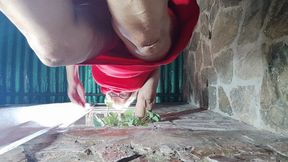 Watch me crush you with my bare feet and high heels (1)