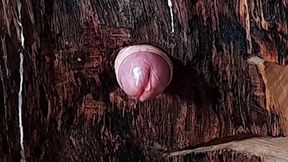 Candlestick for fucking