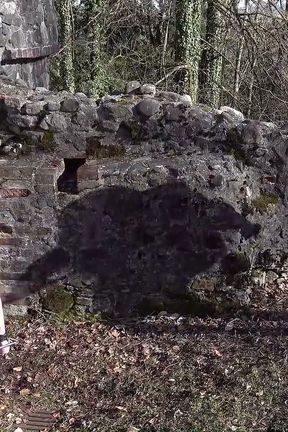 Flogged in Castle Ruins