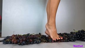 Grape Crushing - Food Crush - HD MP4