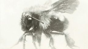 “Work/Life Balance”