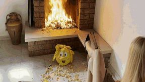 Destruction and burning AVI