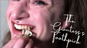 The Giantesses Toothpick mp4
